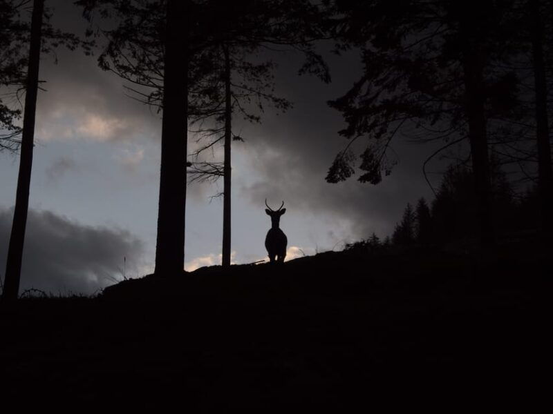 wicklow-glendalough-guided-night-hike-and-history-tour