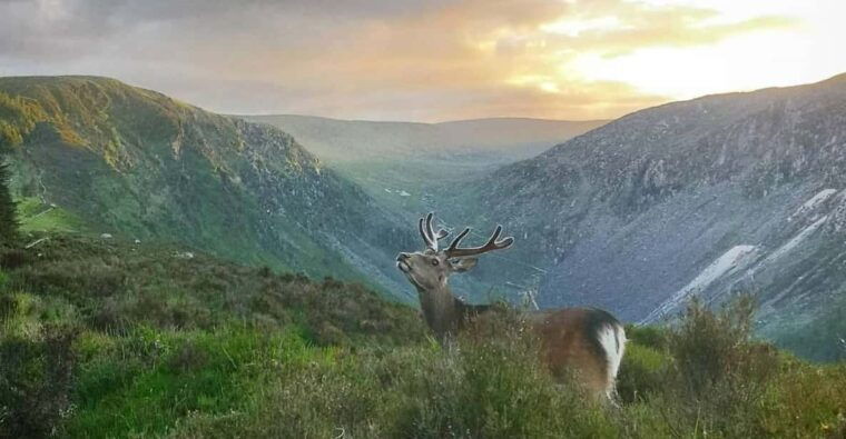 wicklow-glendalough-guided-night-hike-and-history-tour