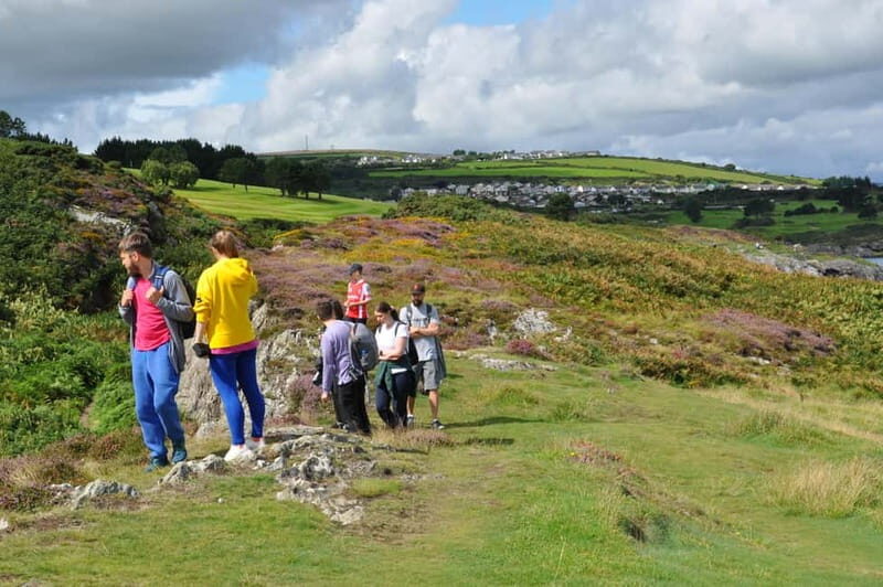 Wicklow: Guided Cliff Walk with Seals and Town Tour w/Picnic - The Itinerary: What to Expect on this Wicklow Adventure