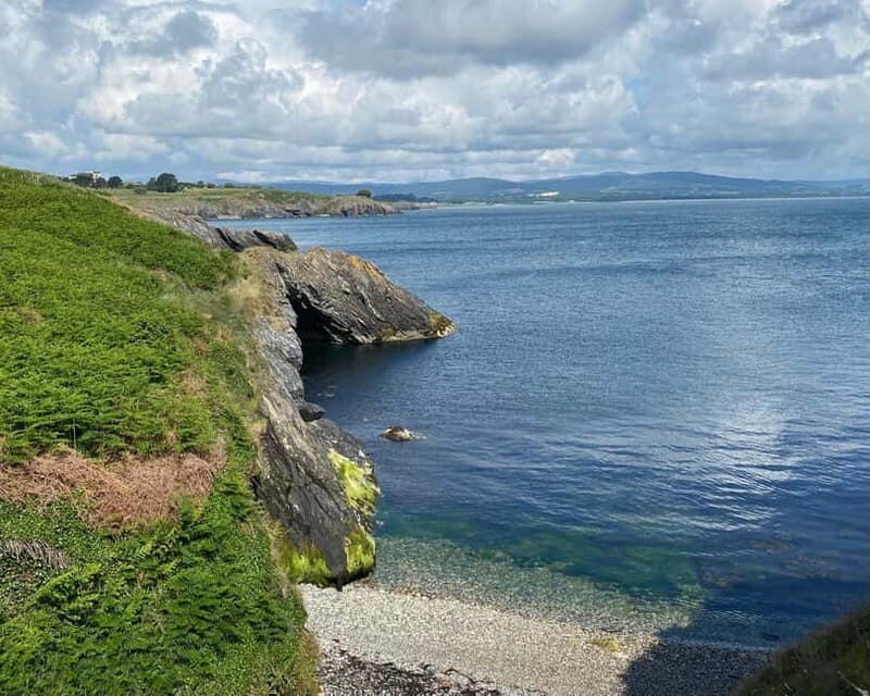 Wicklow: Guided Cliff Walk with Seals and Town Tour w/Picnic - In-Depth Look at the Stops