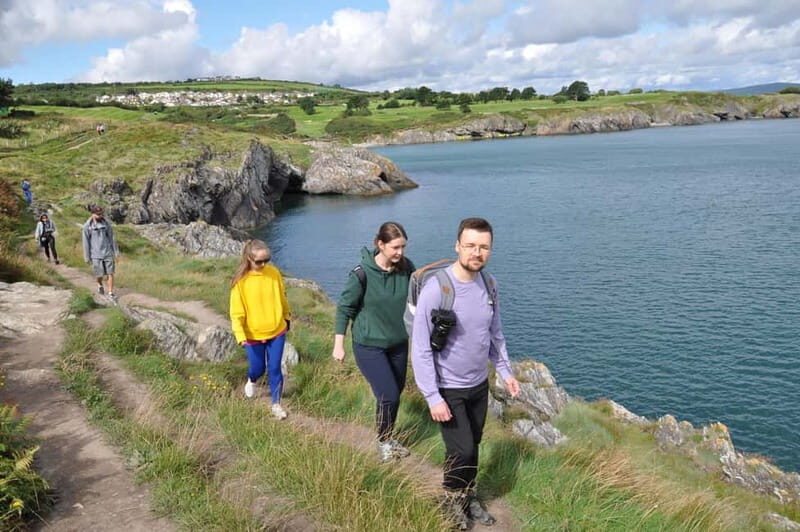 Wicklow: Guided Cliff Walk with Seals and Town Tour w/Picnic - Who Will Love This Tour?