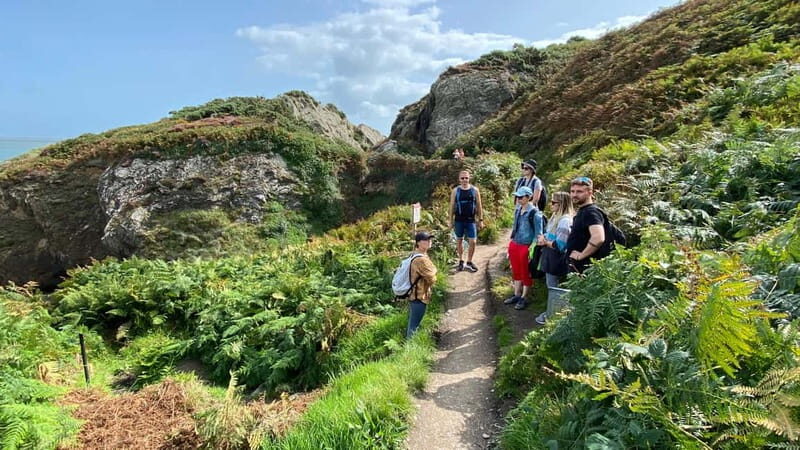 Wicklow: Guided Cliff Walk with Seals and Town Tour w/Picnic - Final Thoughts