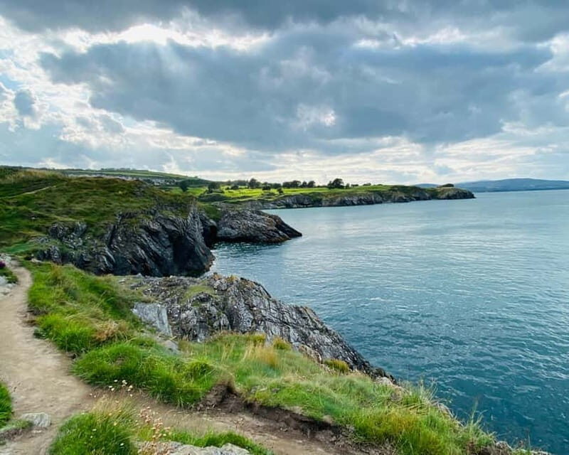 Wicklow: Guided Cliff Walk with Seals and Town Tour w/Picnic - Frequently Asked Questions