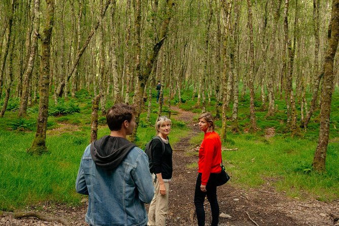 wicklow-mountains-private-day-trip-from-dublin-2