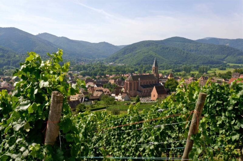 Wihr-au-Val : Wine Tasting and Cellar Tour - Exploring the Itinerary: What to Expect