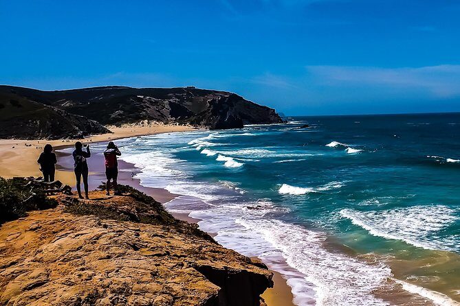 Wild and Wonderful West Coast Full Day Tour - Final Thoughts: Who Will Love This Tour?