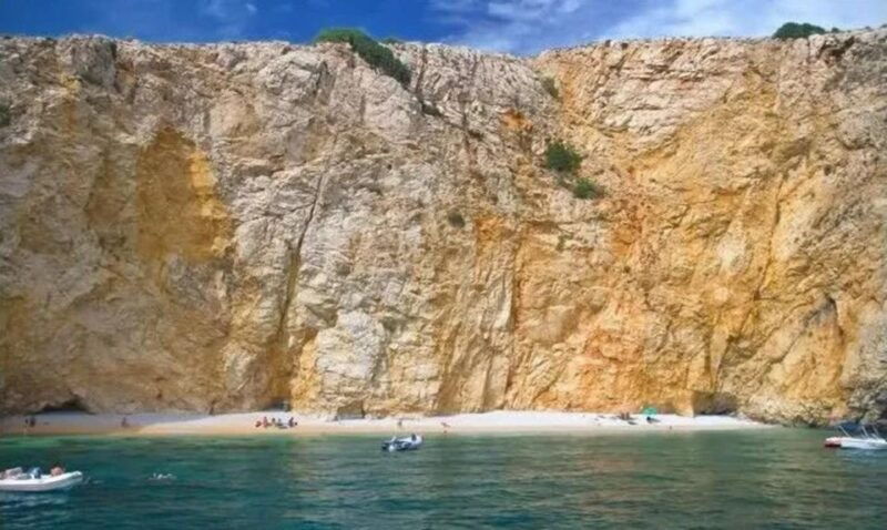 wild-bays-swimming-and-snorkeling-with-capt-bobo-private