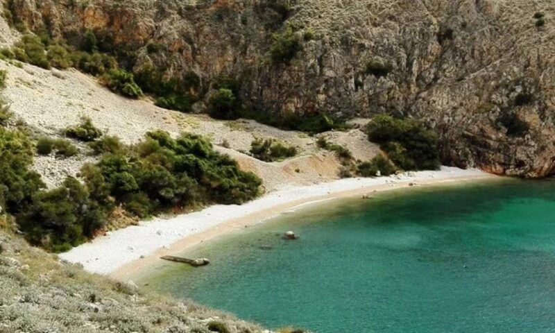 wild-bays-swimming-and-snorkeling-with-capt-bobo-private