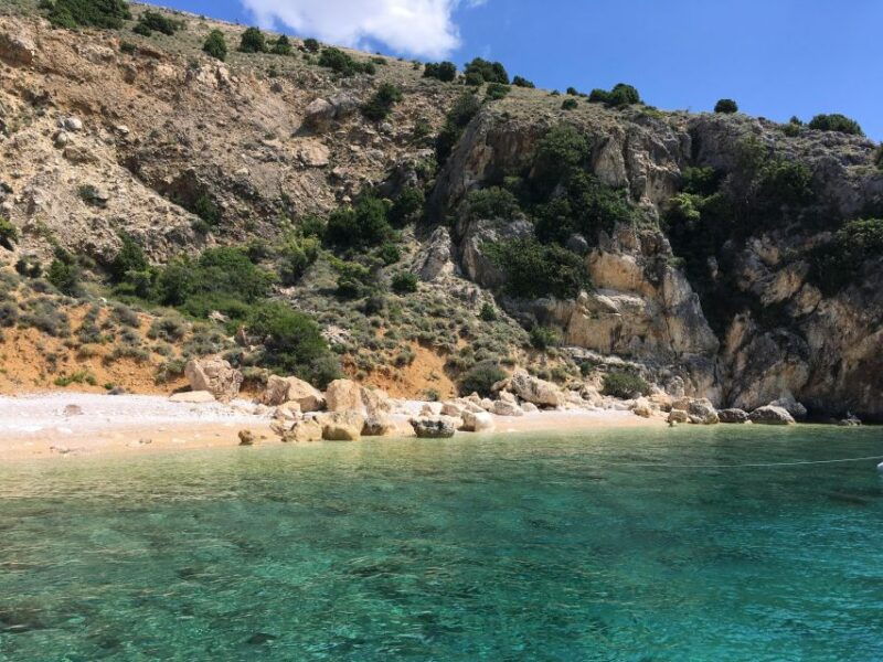 wild-bays-swimming-and-snorkeling-with-capt-bobo-private