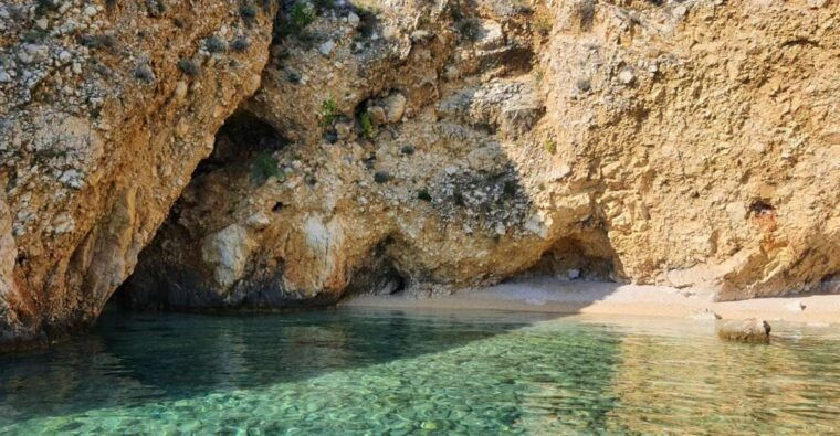 wild-bays-swimming-and-snorkeling-with-capt-bobo-private