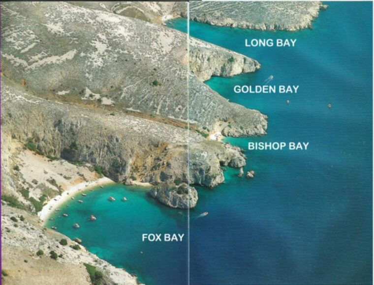 wild-bays-swimming-and-snorkeling-with-capt-bobo-private