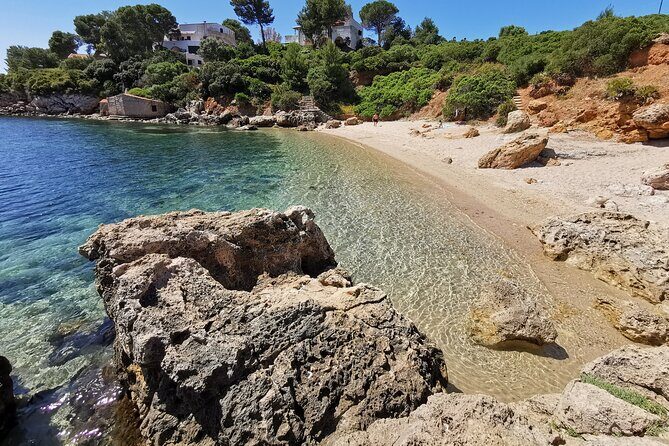 Wild Beaches & Snorkeling Tour - Key Points