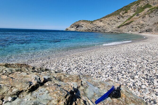 Wild Beaches & Snorkeling Tour - Final Thoughts