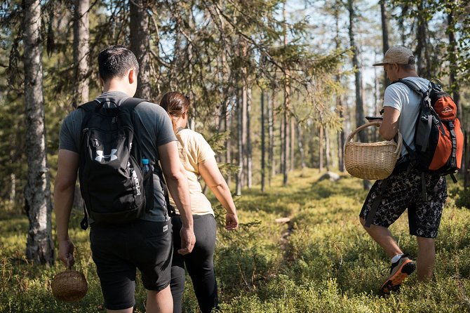 wild-berries-and-mushroom-picking-tour