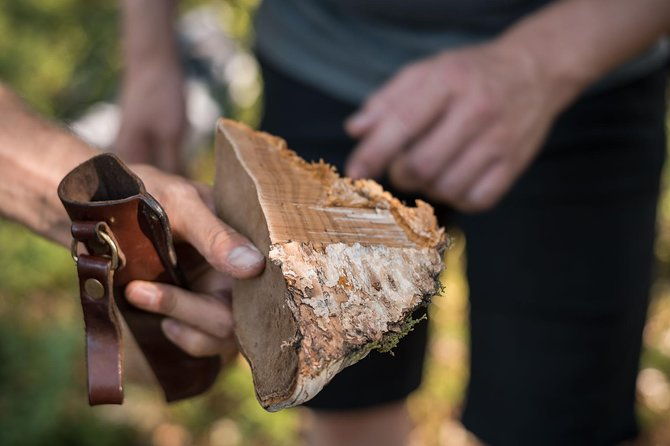 wild-berries-and-mushroom-picking-tour