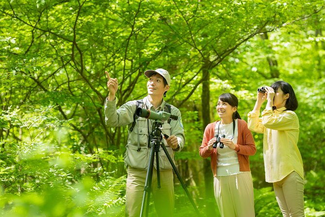 wild-bird-sanctuary-forest-guided-tour-in-nagano