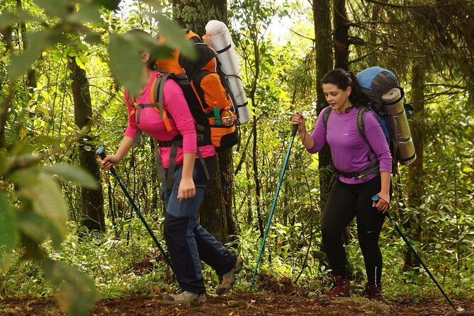 wild-camping-hiking-in-mantiqueiras-forest
