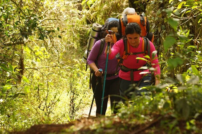 wild-camping-hiking-in-mantiqueiras-forest