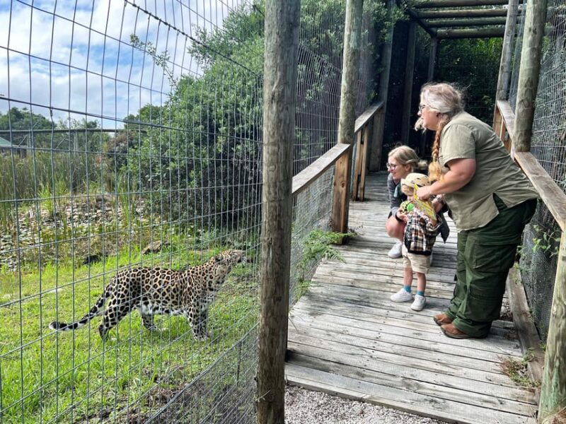 wild-cat-experience-1-hour-tour