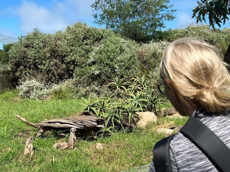 wild-cat-experience-1-hour-tour