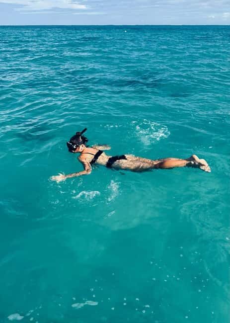 Wild Dolphin Encounter & Snorkeling Adventure  Mauritius. - The Experience: What to Expect