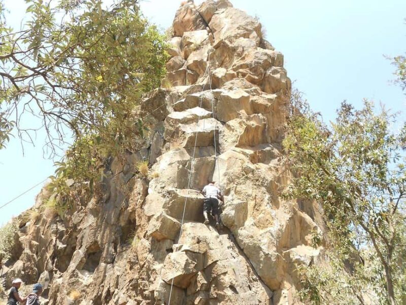 Wild Encounters: Hell's Gate National Park Adventure - An In-Depth Look at the Tour