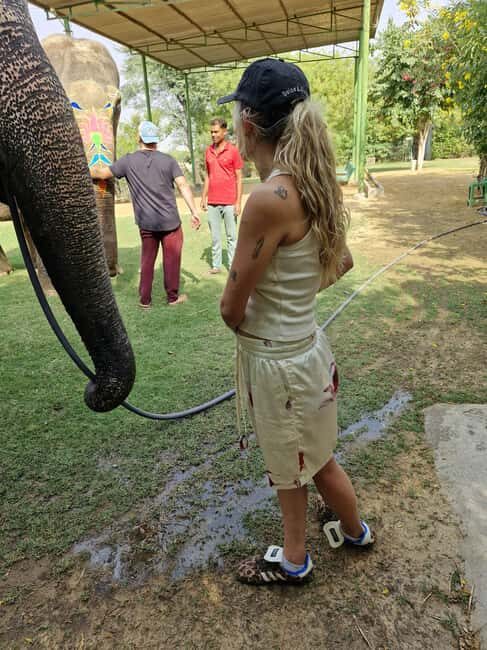 Wild Escape: 3 Days Ranthambore Safari Adventure from Delhi - Key Points