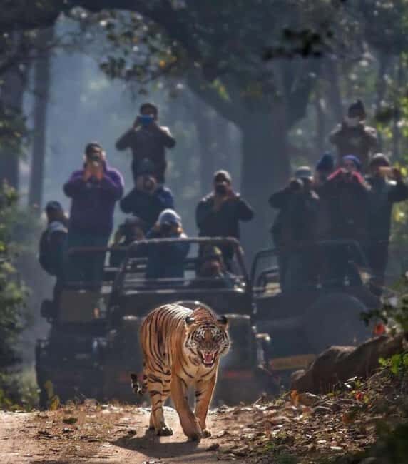 Wild Escape: 3 Days Ranthambore Safari Adventure from Delhi - An Overall Look at the Experience
