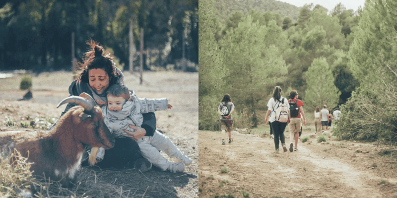 wild-forest-reserve-foundation-caregiver-for-a-day