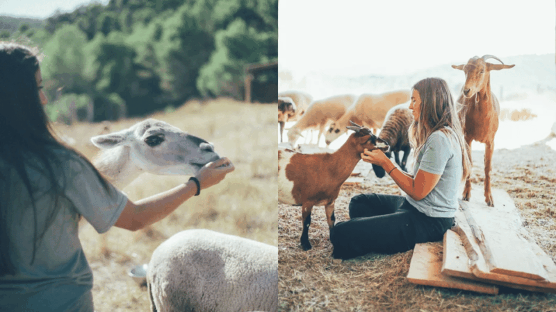 wild-forest-reserve-foundation-visit