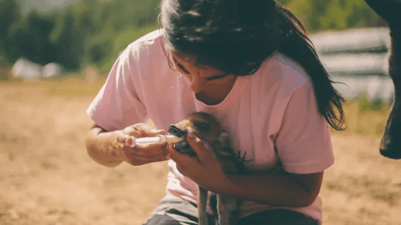 wild-forest-reserve-foundation-visit