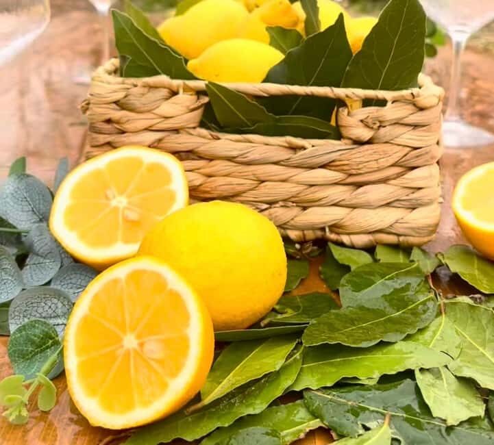Wild Fruit Picking Experience at Hani i Qerosit - Practical Details: What You Need to Know
