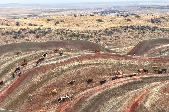 wild-georgia-4wd-pack-adventure-through-kakheti-and-kazbegi-2in1