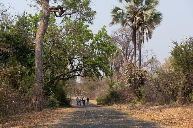 Wild Horizons Bike Tour (Zimbabwe) - FAQ