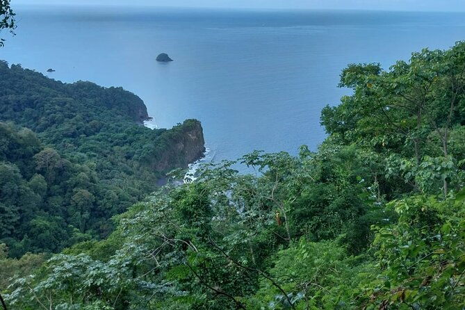 wild-immersion-hiking-in-the-heart-of-the-rainforest