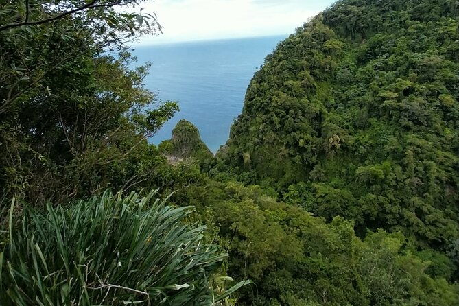 wild-immersion-hiking-in-the-heart-of-the-rainforest