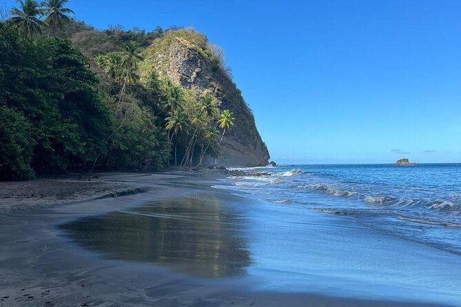 wild-immersion-hiking-in-the-heart-of-the-rainforest