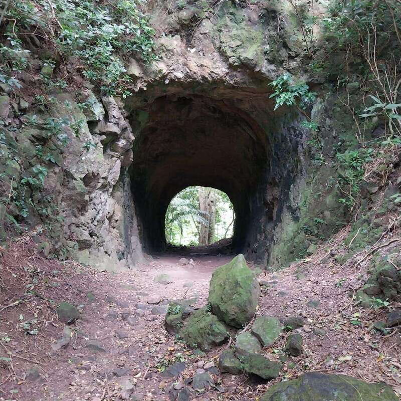 Wild Immersion : Hiking in the Heart of the Tropical Forest - Exploring the Route: A Closer Look