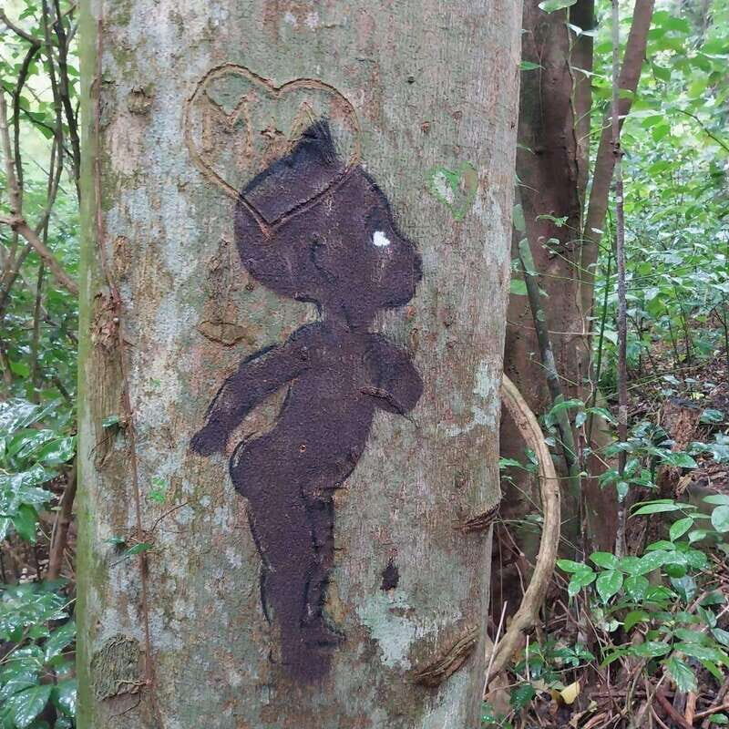 Wild Immersion : Hiking in the Heart of the Tropical Forest - Authentic Experiences and Insights from Past Travelers