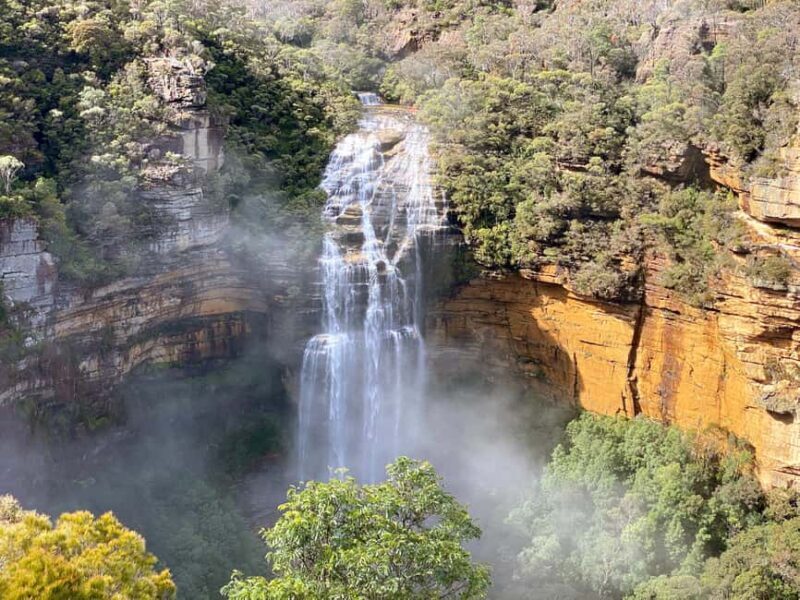 Wild Kangaroos & Blue Mountains private tour - Introduction