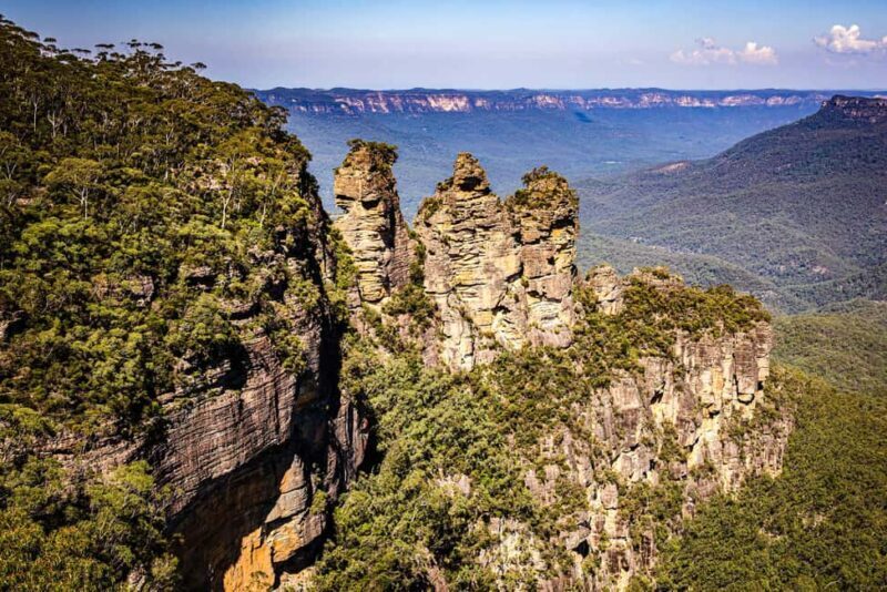 Wild Kangaroos & Blue Mountains private tour - Why This Tour Offers Great Value