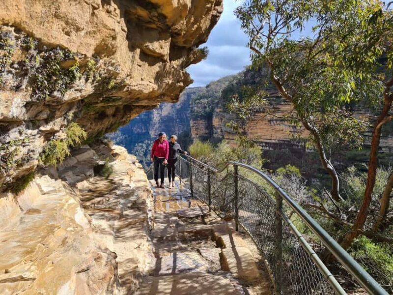 Wild Kangaroos & Blue Mountains private tour - FAQ