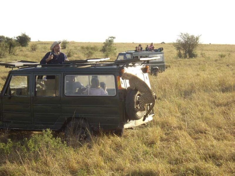 Wild Kenya Safari Explore Amboseli, Tsavo West & East 4 Days - What the Price Gets You: Beyond the Numbers