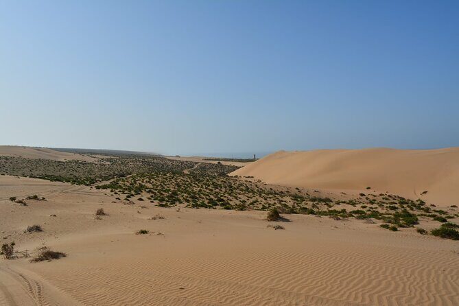 Wild National Park & Sahara Desert including Couscous & Tajine - FAQ