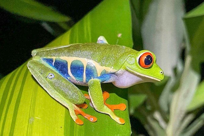 wild-nature-and-adventure-combo-from-guanacaste