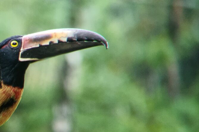 wild-nature-experience