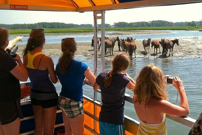 wild-pony-watching-boat-tour-from-chincoteague-to-assateague