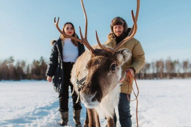 wild-reindeers-safari-lunch-in-glass-igloo-private-service