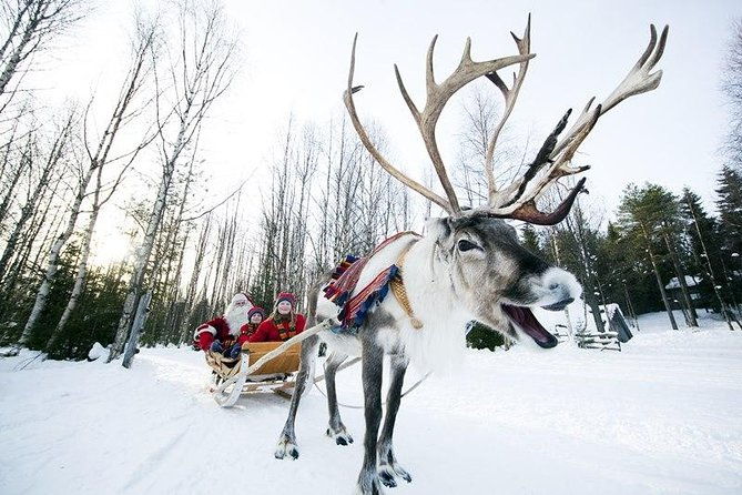wild-reindeers-safari-lunch-in-glass-igloo-private-service