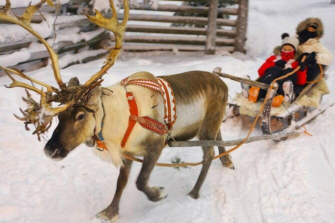 wild-reindeers-safari-lunch-in-glass-igloo-private-service